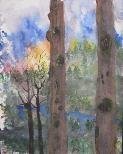 Scott Lindberg - Water Color Woods